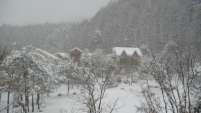 Shinevalley Pension & Hotel
